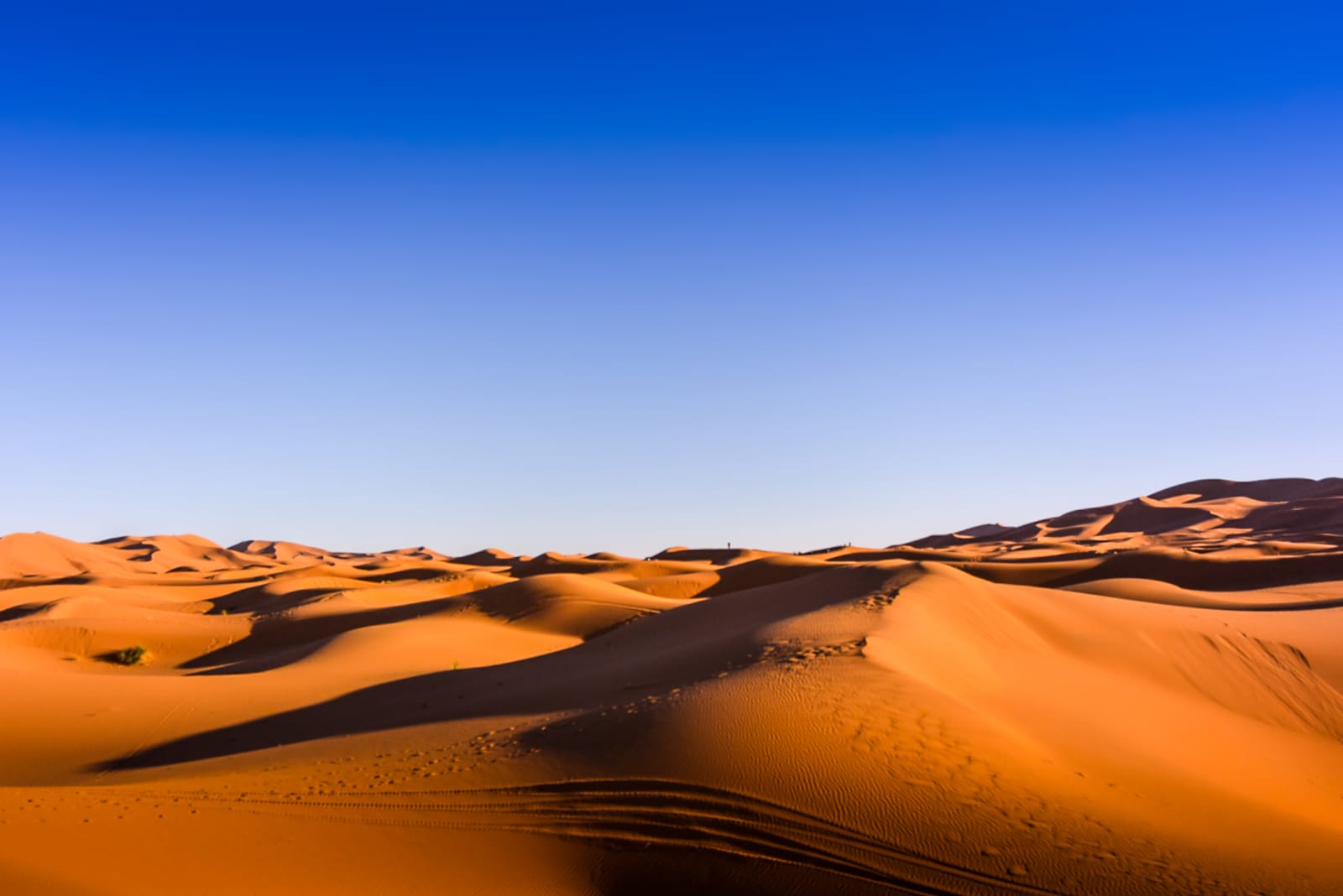 Morrocan Desert
